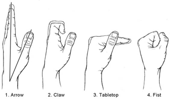 Hand Therapy Chart